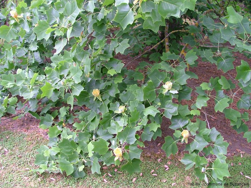 dscf1409